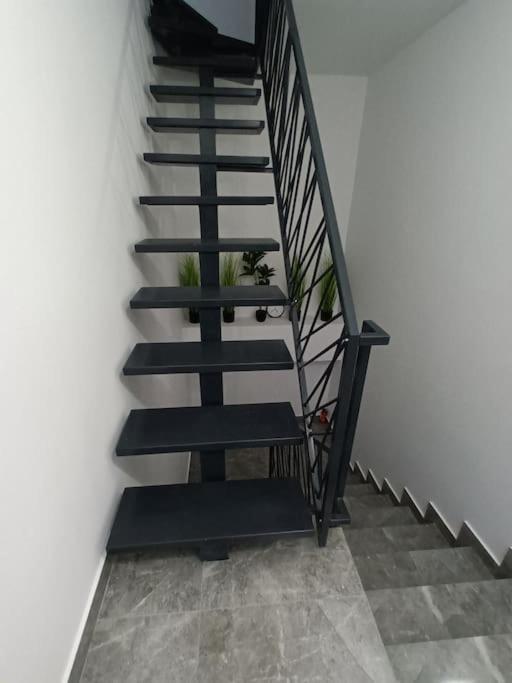 Old Town Studio 1 Apartment Nr 1 Baia Mare Exterior photo