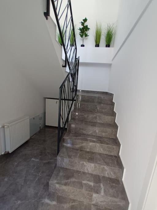 Old Town Studio 1 Apartment Nr 1 Baia Mare Exterior photo