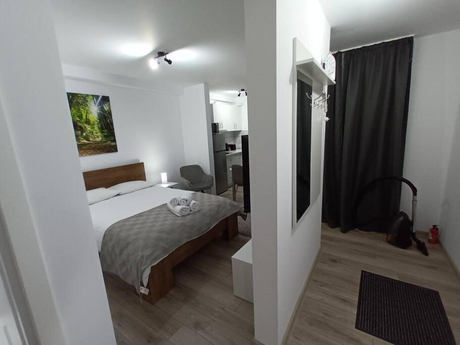 Old Town Studio 1 Apartment Nr 1 Baia Mare Exterior photo