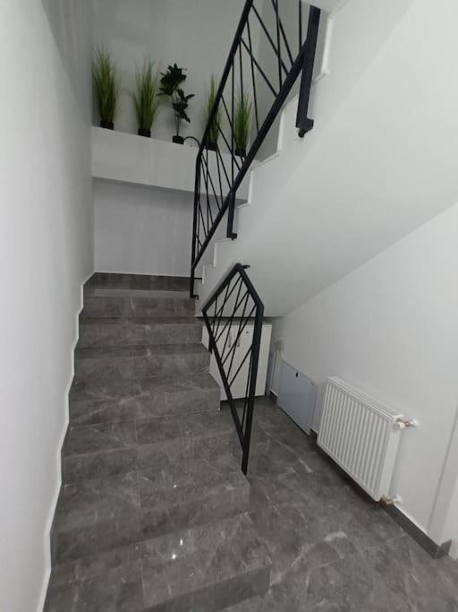 Old Town Studio 1 Apartment Nr 1 Baia Mare Exterior photo