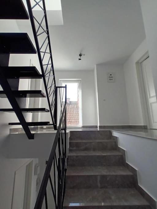 Old Town Studio 1 Apartment Nr 1 Baia Mare Exterior photo