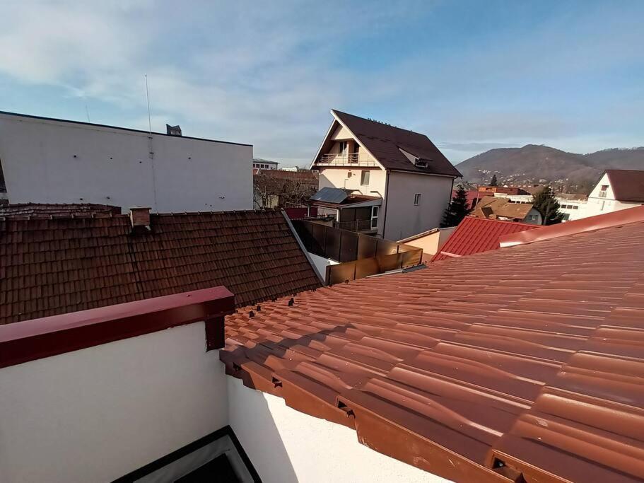 Old Town Studio 1 Apartment Nr 1 Baia Mare Exterior photo