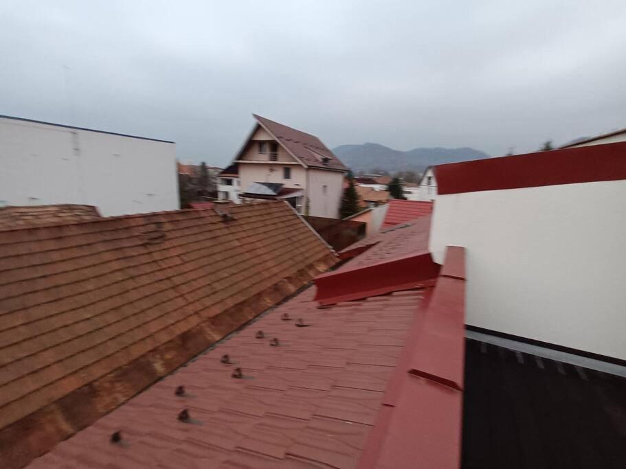 Old Town Studio 1 Apartment Nr 1 Baia Mare Exterior photo