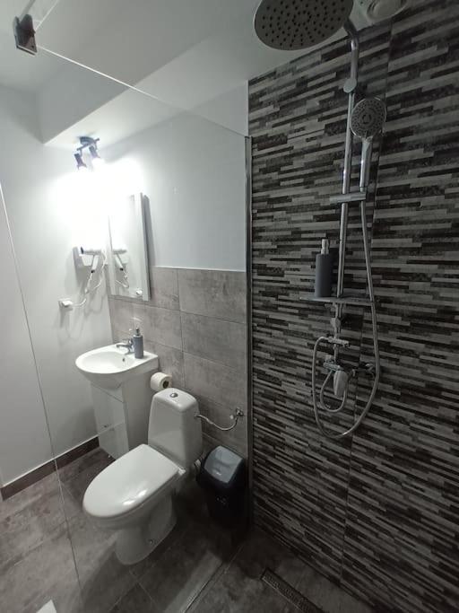 Old Town Studio 1 Apartment Nr 1 Baia Mare Exterior photo