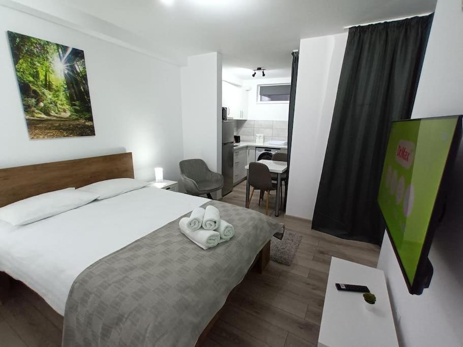 Old Town Studio 1 Apartment Nr 1 Baia Mare Exterior photo