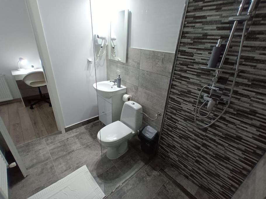 Old Town Studio 1 Apartment Nr 1 Baia Mare Exterior photo